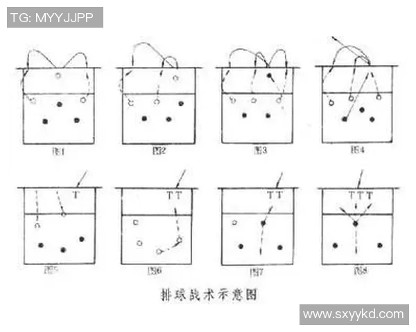 广州排球队中路突破的战术解析与深度剖析