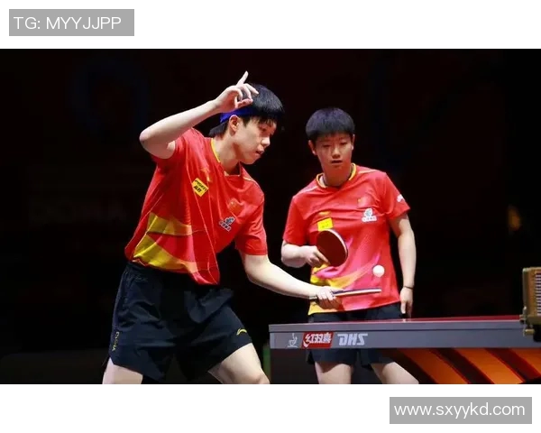 北京乒乓球队技术变革引发热议新策略助力竞技水平提升