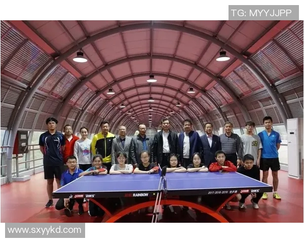 南京乒乓球队个人能力分析与发展策略探讨