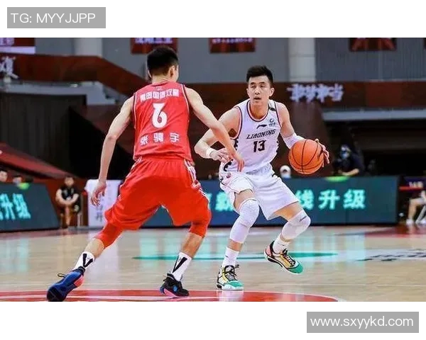 南京篮球队与深圳篮球队赛后复盘个人能力分析与表现对比