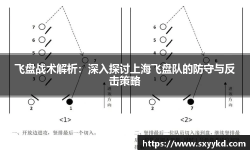 飞盘战术解析：深入探讨上海飞盘队的防守与反击策略