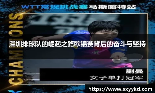 mk体育