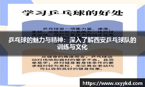 乒乓球的魅力与精神：深入了解西安乒乓球队的训练与文化