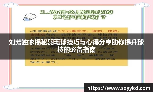 刘芳独家揭秘羽毛球技巧与心得分享助你提升球技的必备指南