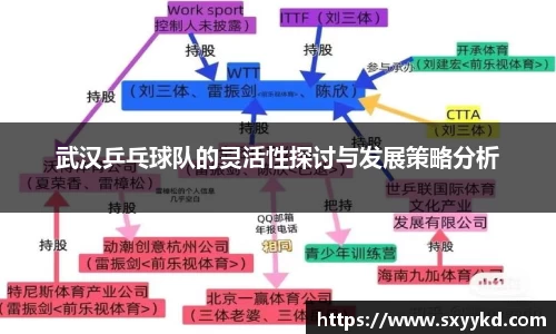 武汉乒乓球队的灵活性探讨与发展策略分析